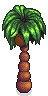 Island Palm Tree Fruit.png