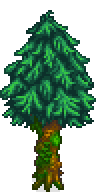 Pine Tree Mossed Spring.png