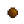 Ancient Ferns Seed.png