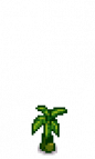 Banana Tree Stage 1.png