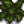 Springobjects315.png