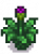 Artichoke Stage 5.png