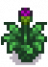 Artichoke Stage 5.png