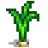 Garlic Stage 5.png