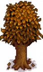 Pomegranate Tree Stage 5 Fall.png