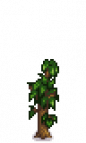 Peach Tree Stage 3.png