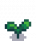 Broccoli Stage 2.png