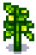 Tomato Stage 5.png