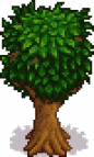Apple Tree Stage 5 Spring.png