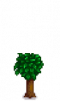 Orange Tree Stage 3.png