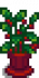 House Plant 15.png