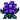 Crocus.png