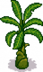 Banana Tree Stage 5 Fall.png