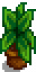 House Plant 8.png