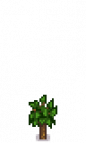 Apricot Tree Stage 2.png