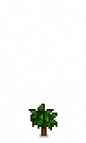 Apple Tree Stage 1.png
