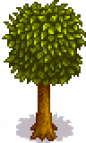 Orange Tree Stage 5 Fall.png