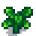 Parsnip Stage 4.png