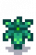 Starfruit Stage 4.png
