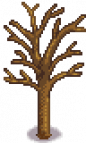 Apricot Tree Stage 5 Winter.png