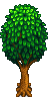 Oak Tree Stage 5-15 Spring.png