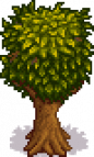 Apple Tree Stage 5 Fall.png