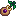 Pomegranate Sapling.png