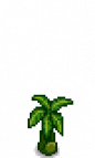 Banana Tree Stage 2.png