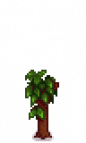 Pomegranate Tree Stage 3.png