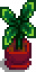 House Plant 13.png