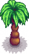 Palm tree portrait.png