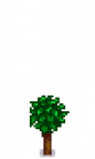 Orange Tree Stage 2.png