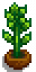 House Plant 7.png