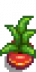 House Plant 3.png
