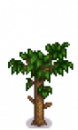 Apricot Tree Stage 4.png