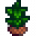 Tea Sapling.png