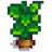 Potato Stage 6.png