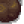 Springobjects779.png