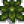 Springobjects313.png