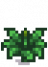 Artichoke Stage 4.png