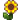 Sunflower.png