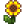 Sunflower.png