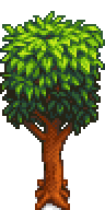 Mahogany Tree Stage 5-15 Summer.png