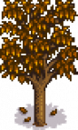 Apricot Tree Stage 5 Fall.png