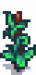 Green Bean Stage 5.png