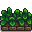 Junimo Plant.png