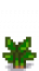 Taro Stage 2.png