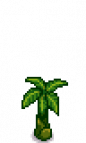 Banana Tree Stage 3.png