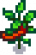 Hot Pepper Stage 6.png