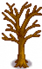 Orange Tree Stage 5 Winter.png
